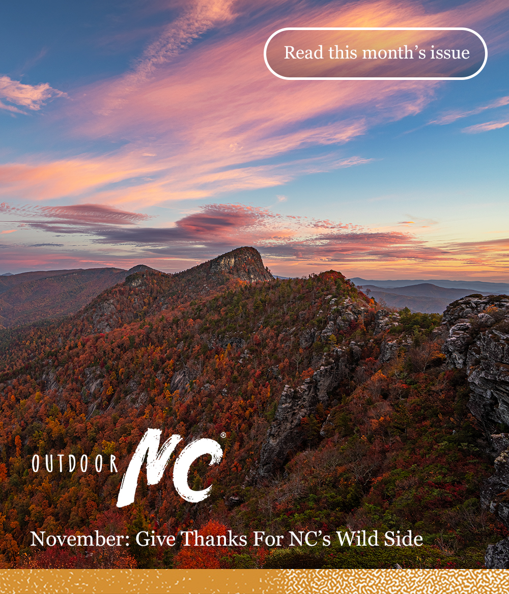 Outdoor NC Evergreen - November: Give Thanks for NC's Wild Side
