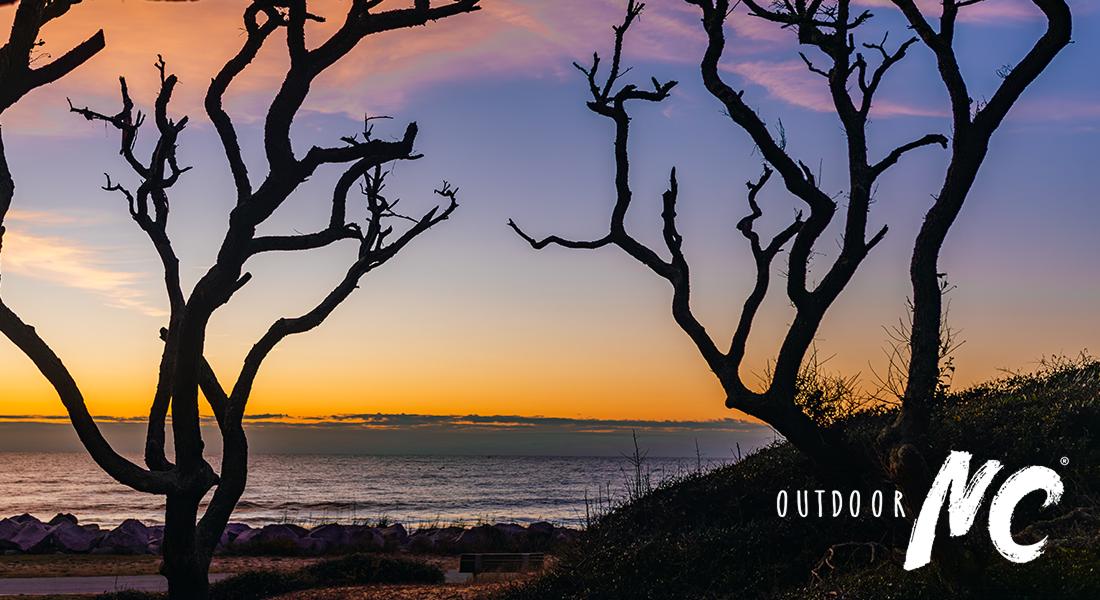 OUTDOOR NC - A vibrant sunrise casts orange and pink hues over the ocean, silhouetting trees along the shoreline.