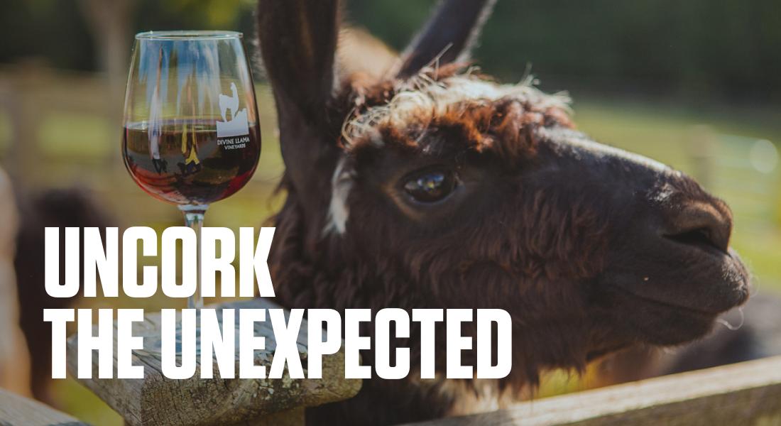 UNCORK THE UNEXPECTED - Divine Llama Vineyards East Bend Wine Glass on Post with Llama