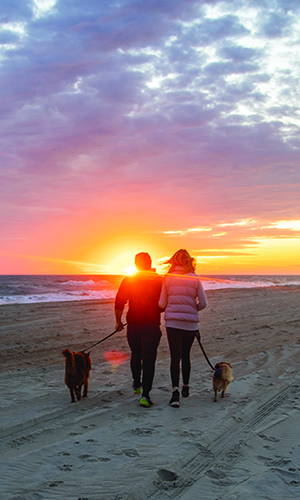 Couple takes their dogs for a walk at Atlantic Beach, NC.