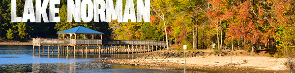 Shoreline pier on Lake Nornan