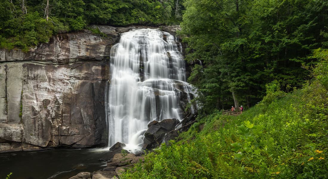 Waterfall in Brevard, NC