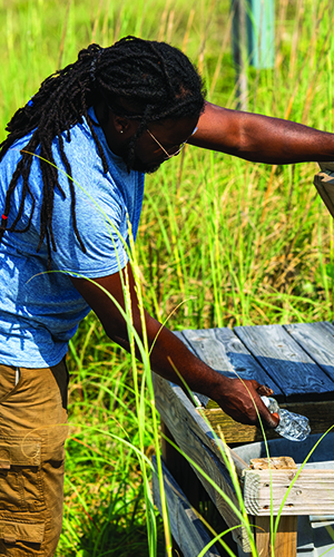 A man helping with beach clean up on Caswell Beach in North Carolina.