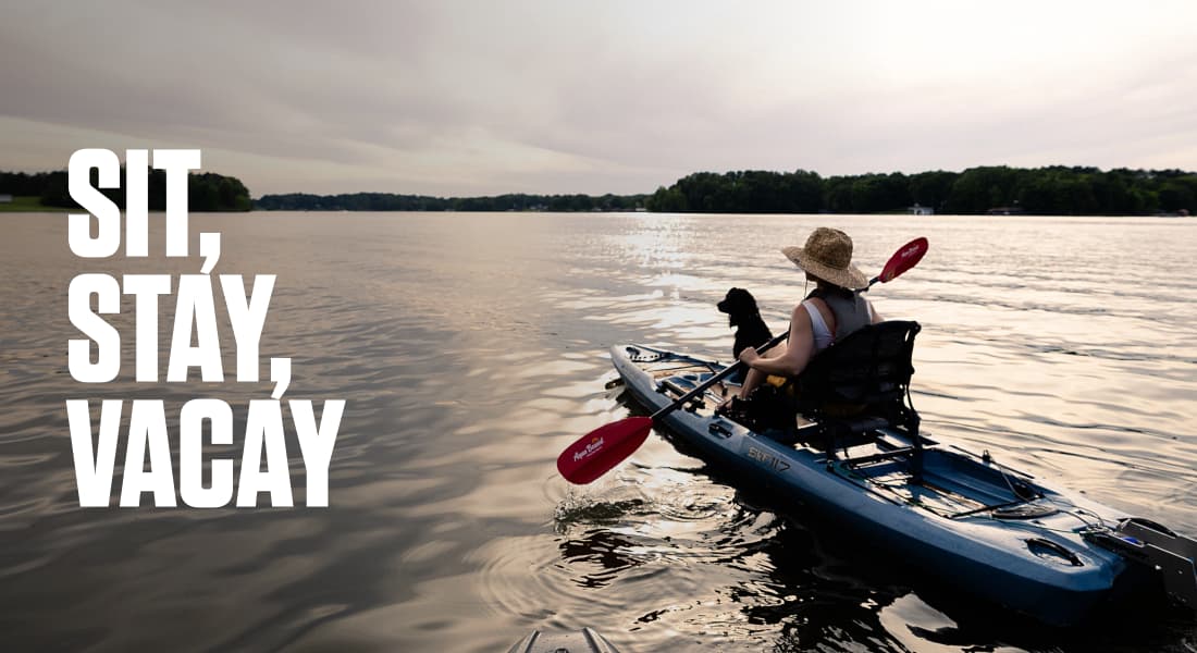 SIT, STAY, VACAY - Kayaking with a dog in the early morning on Hyco Lake, Semora, NC