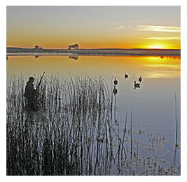Sunset over a pond with birds on it