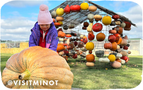 A little girl wearing a purple jacket with her hands on a large pumpkin, with overlay text that reads @visitminot