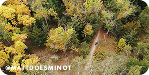 Aerial view of forest with golden and green foliage with text overlay that reads @MattDoesMinot