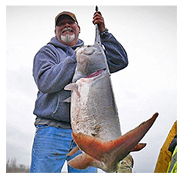 Man holding up a very large caught paddlefish