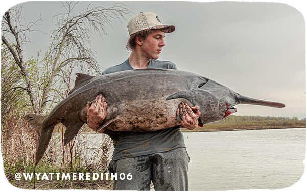 Young man holding a very large fish in front of a lake, with overlay text that reads @wyattmeredith06