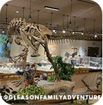 Exhibit of a dinosaur skeleton at a museum, with overlay text that reads: @gleasonfamilyadventure