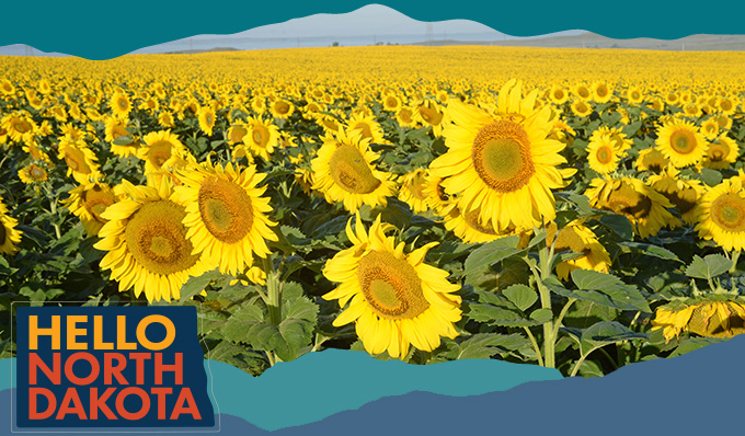 A large field of yellow sunflowers, with overlay text that reads: Hello North Dakota 