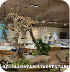 Exhibit of a dinosaur skeleton at a museum, with overlay text that reads: @gleasonfamilyadventure
