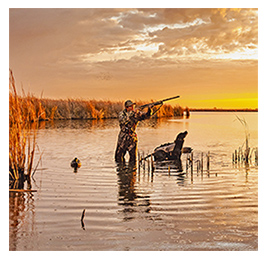 Man wearing camouflage standing in a body of water with a dog, pointing a rifle toward the sky at sunset