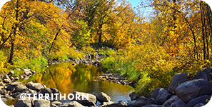 A creek surrounded by rocks and trees with bright-orange leaves, with overlay text that reads: @territhorn