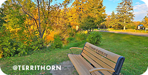 A wooden bench outside on green grass with orange and green trees in the background, with overlay text that reads: @territhorn