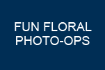 PHOTO OPS