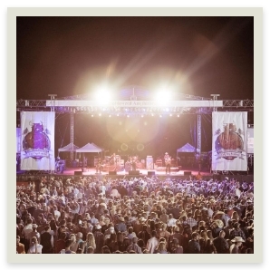 CALF FRY