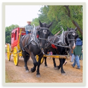 CHUCK WAGON