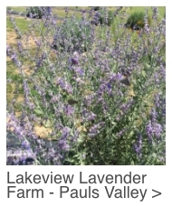 LAKEVIEW