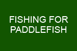 PADDLEFISH