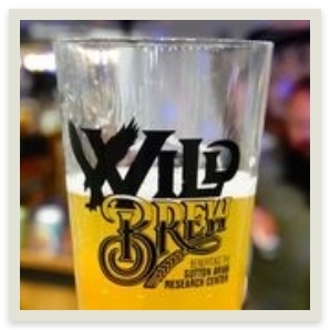 wildbrew