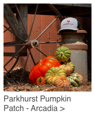 Pankhurst footer