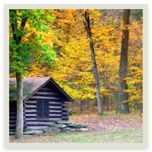 cabin