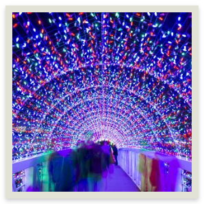 lights