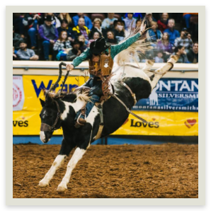 rodeo
