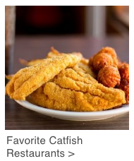 catfish
