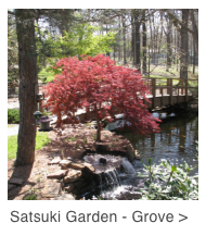 satsuki