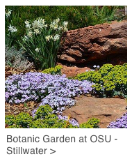 OSU Garden