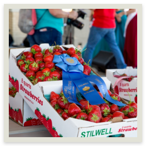 strawberry4real