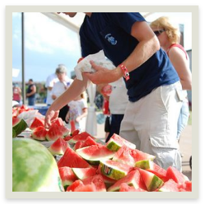 summer festivals