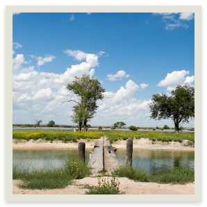 swimming holes 