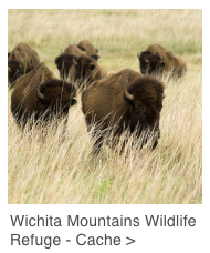 wichitamts