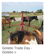 Gotebo
