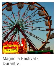 magnolia
