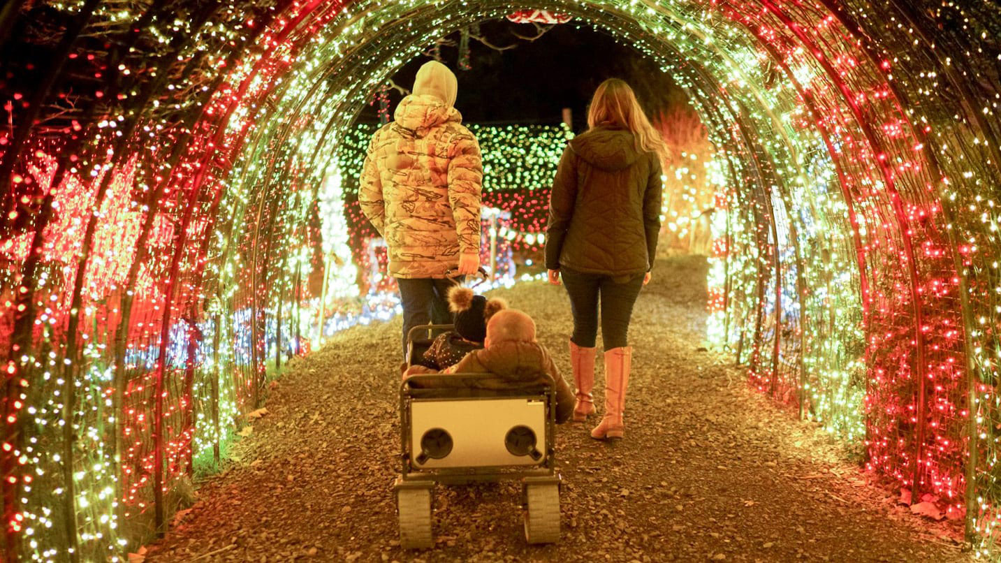 Two adults walking through a festive tunnel of red, green, and white holiday lights at night, pulling two children in a wagon.