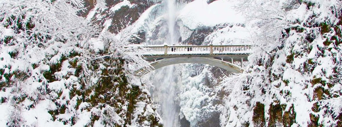 Multnomah Falls and the bridge surrounding by snow-covered trees and foliage.