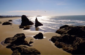 Sunny beach with scattered rock formations and gentle ocean waves.