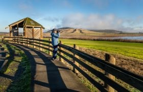 A person in a blue jacket standing on a fenced path, overlooking a scenic wetland and rolling hills.