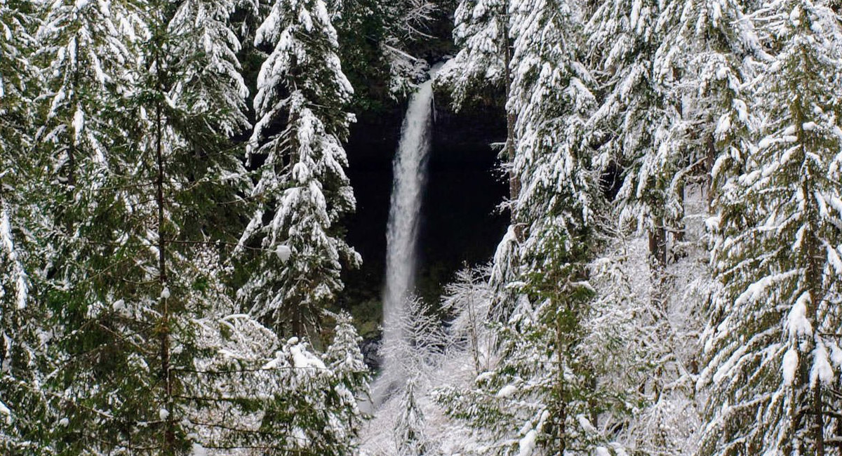 A tall waterfall framed by snow-covered evergreen trees in a winter forest.