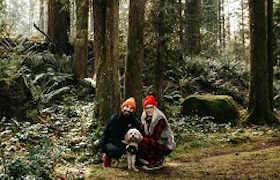 Two people posing with their dog on a forest trail, surrounded by moss-covered trees and ferns.