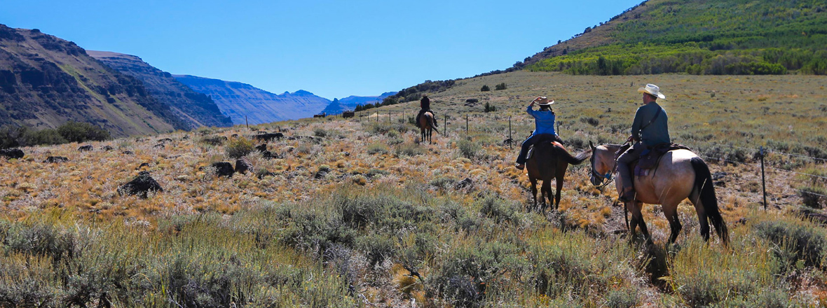 Three people ride horses through a field with a backdrop of mountain ranges.
