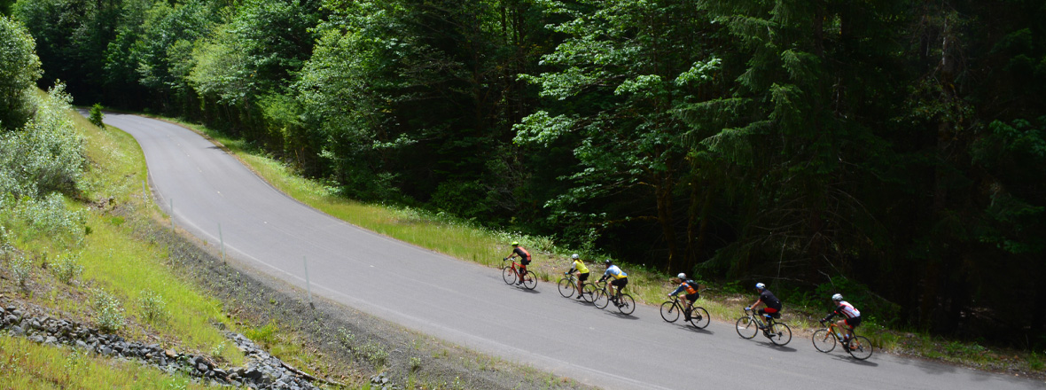 A group of cyclists on a rural road surrounded by nature.