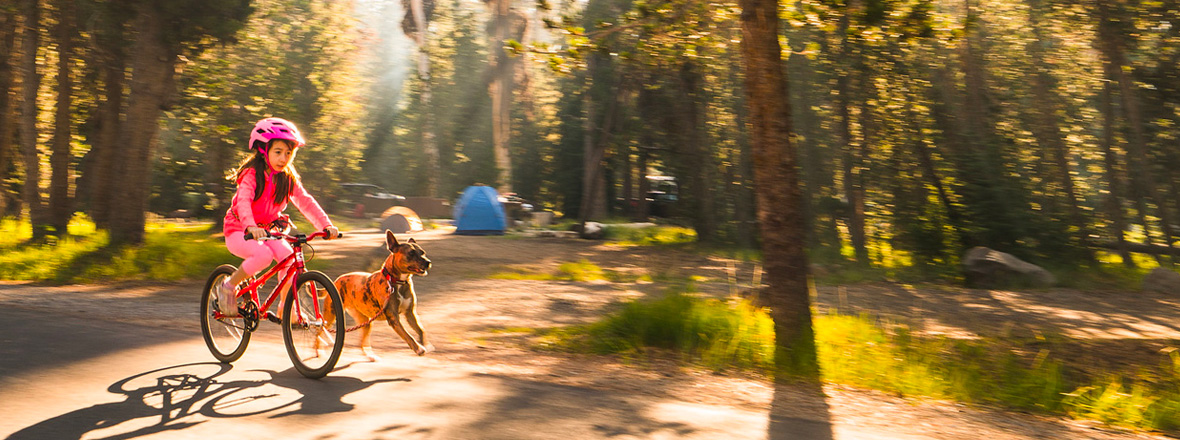 A child in a pink outfit and helmet rides a bike alongside a running dog through a sunlit forest campground with tents in the background.