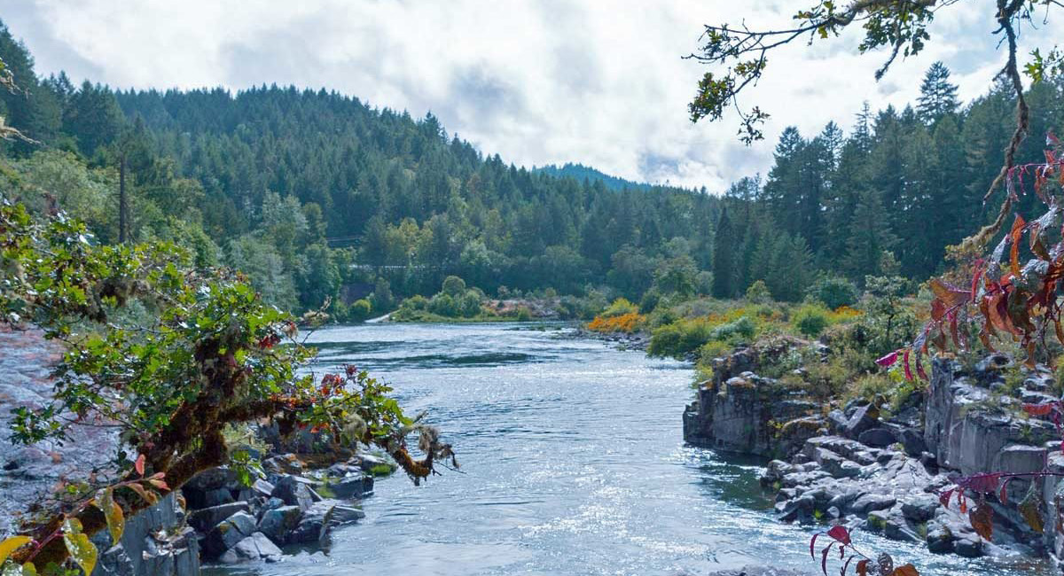 The scenic Umpqua River flows towards the photographer with dense trees in the background.