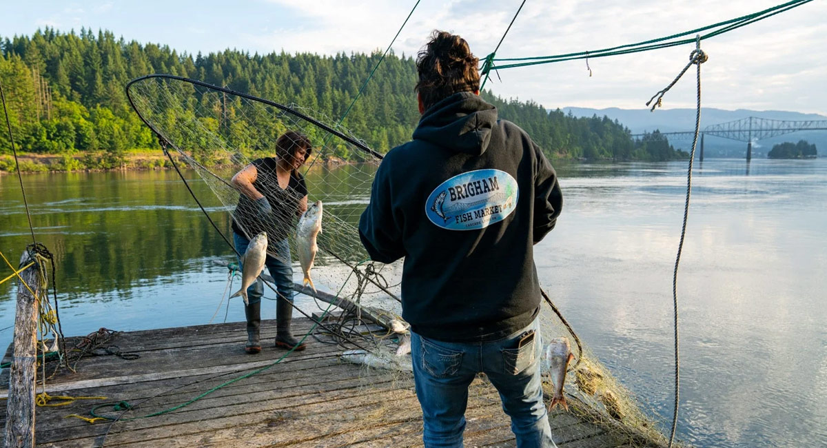 Two indigenous people with a large traditional net catch salmon on the Columbia.