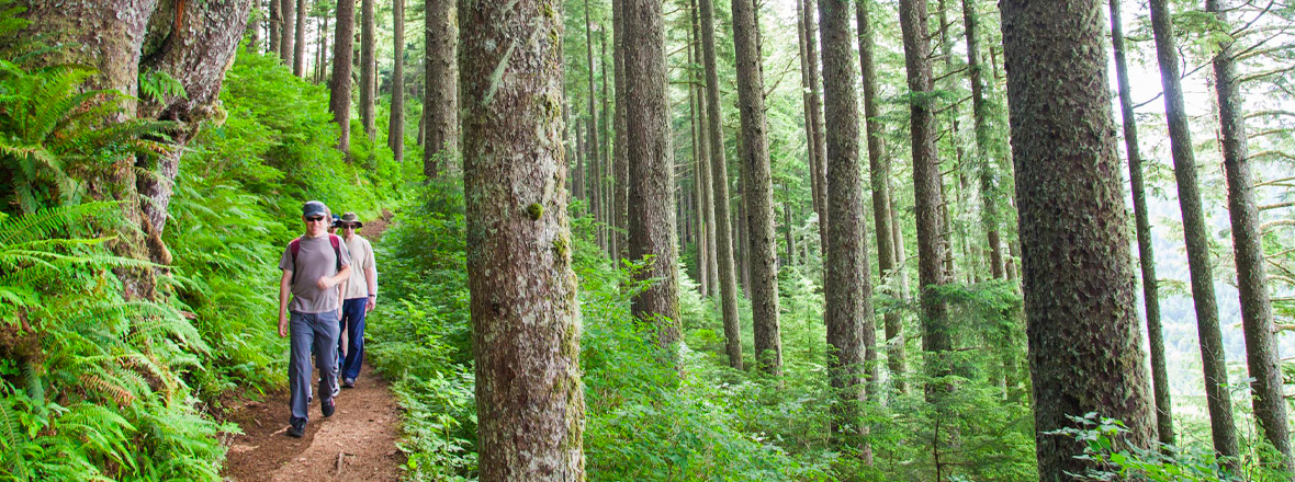 Two people hike along a forested trail.